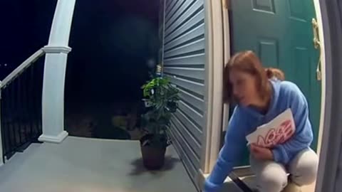 Security Cam Catches Cat Delivering Hot Pizza to Homeowner