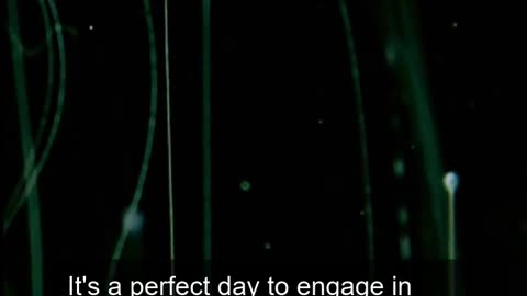 Daily Horoscope | Aquarius 🌟