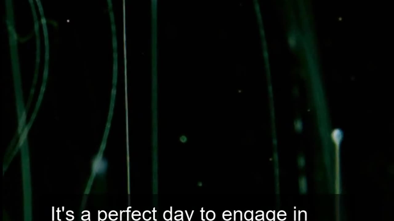 Daily Horoscope | Aquarius 🌟