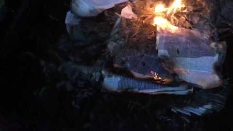 Burn the Mormon books for what they believe about Black People Free