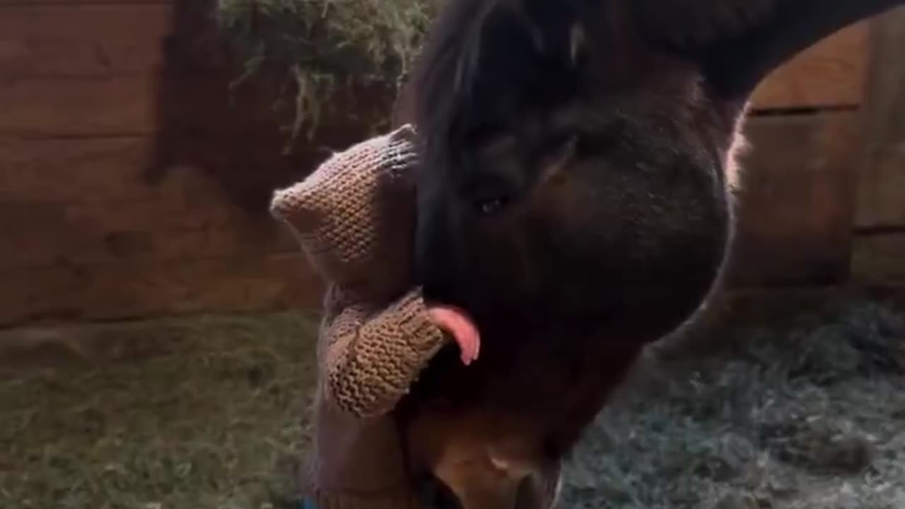 A moment for these two gentle souls of mine 💖