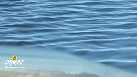 DO YOU DRIVE THROUGH WATER?