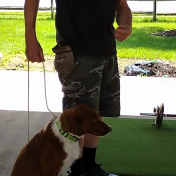 Dice Lesson Two Stop, Back, Figure 6 Pattern