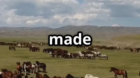 Genghis Khan vs. Alexander Who Was History’s Deadliest Conqueror
