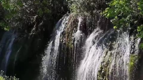 😊 237 LA MANIFESTACIÓN ES EL ARTE DE CREER Y ACTUAR 😊
