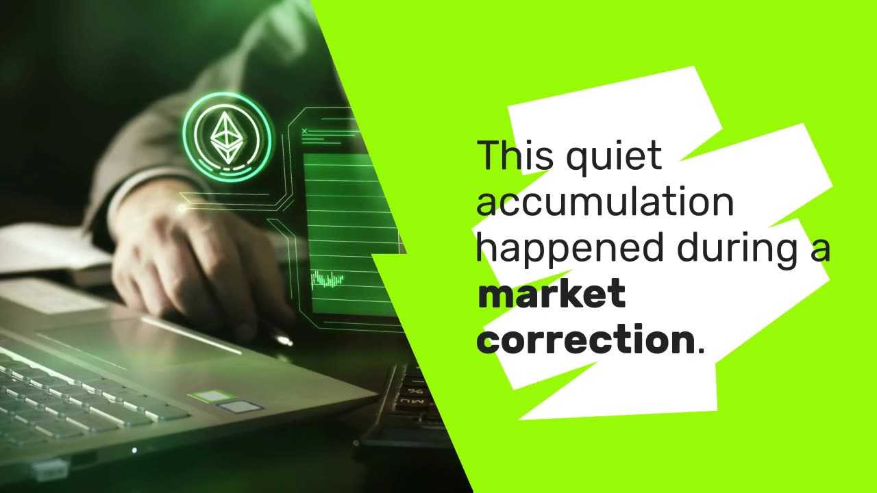 What Crypto Whales Are Buying After the Black Monday Crash