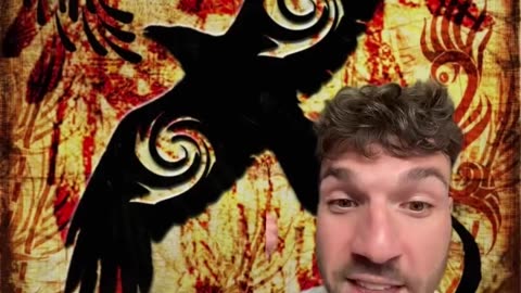 Why Are Crows Illegal to Own as Pets?