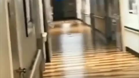 😱👻 Even More Scary Videos That Will Make You Run! | TheHauntingHour