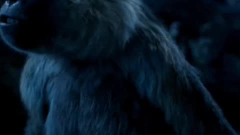 Mufasa 😍❤️ (Part - 39).....#reels #viralreels #reel #mufasa #animation #lastest #romantic #viralreel