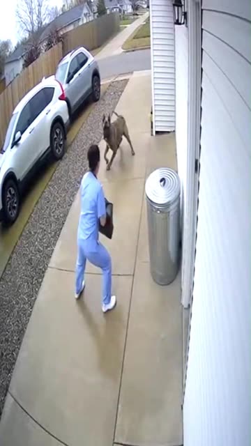 Lady Doctor Chased by Mastiff 🐕‍🦺⚕️ #CCTVFootage #CloseCall #DogAttack