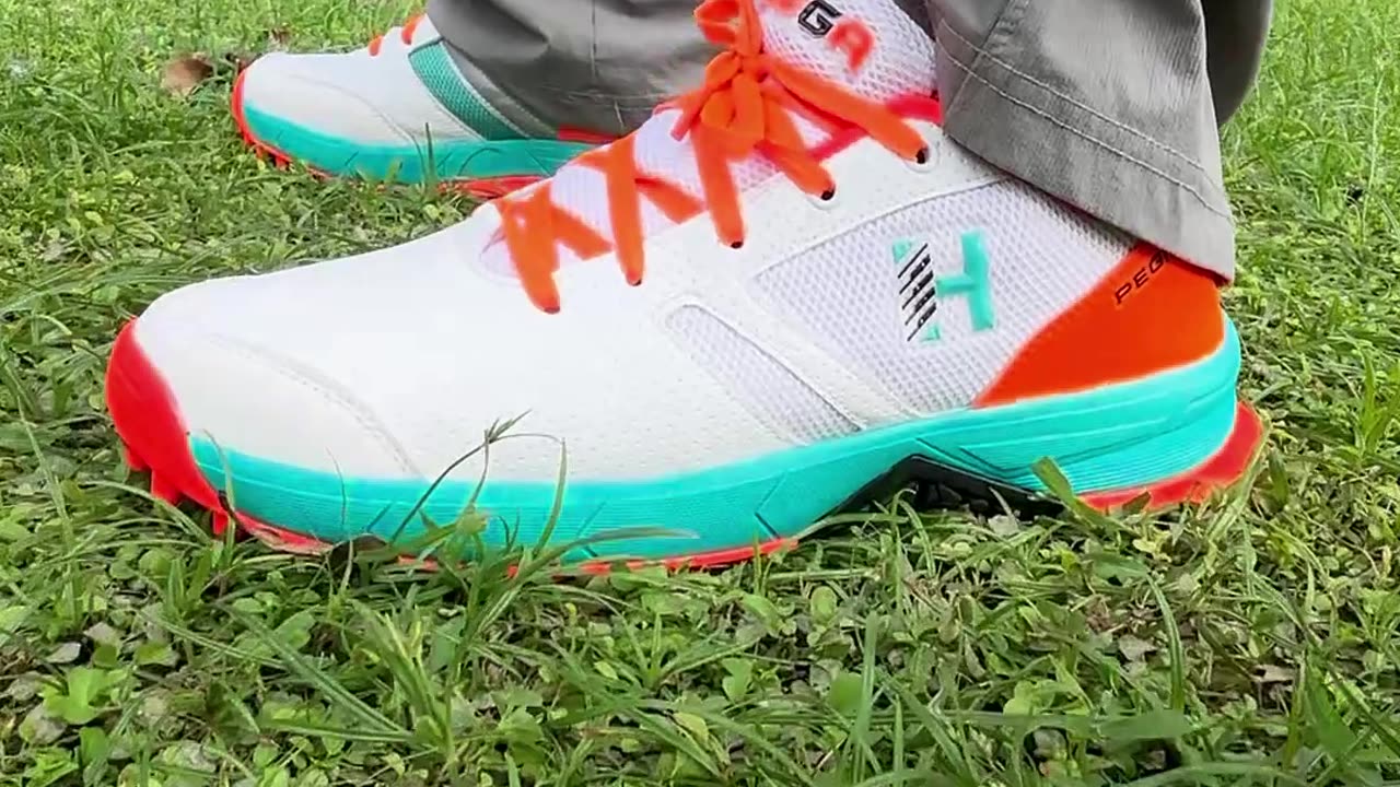 Heega Pegasus Cricket Shoes