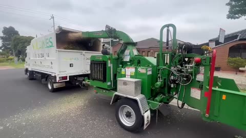 Milones Tree Solutions: Your Trusted Experts For Tree Chipping & Mulching In Werribee & Geelong
