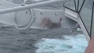 😂🌊 Lady Regrets Water Slide Decision! | FunFM