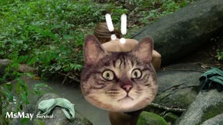 Full video Solo Camping Night in The Woods | Camping Hiking Adventure ASMR | 4K | Satisfying