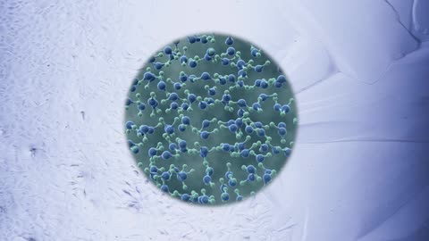 Anthropogenic Factor in the Ocean’s Demise | Popular Science Film