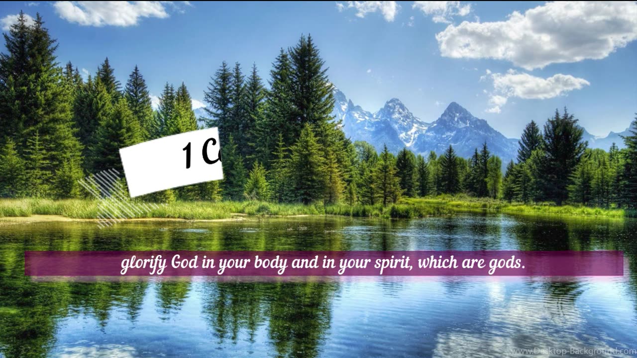 1 Corinthians 6:19-20 - Bible Reflection