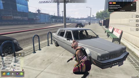 NOT Lt. Velvet Of Del Perro PD in !BrigherTimesRP - D-Ass-Culation Division