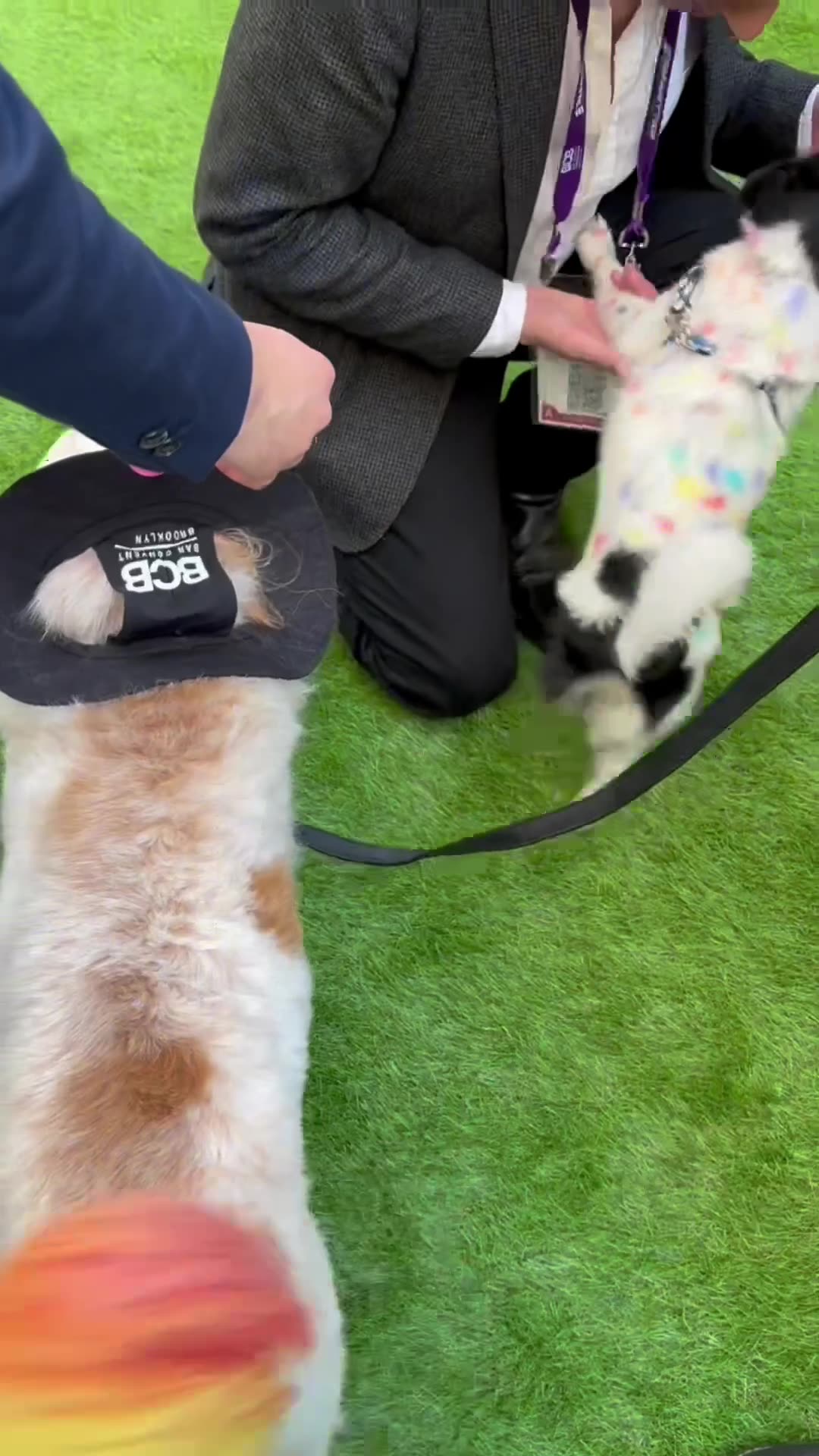 We snuck into the Brooklyn Bar Convent 🕵️‍♂️