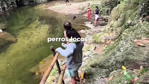 Adentrándonos a la sierra nevada de santa marta.hd