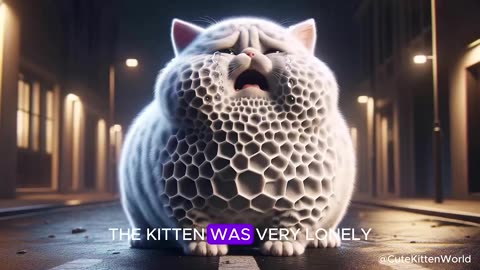Cute Cat helped by Doctor