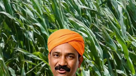 Premium Agro Solutions | Agricultural Insecticides NACL Tech Triad