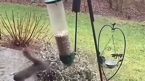 funny compilation