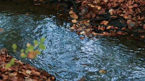 "Opportunities are usually disguised as hard work."