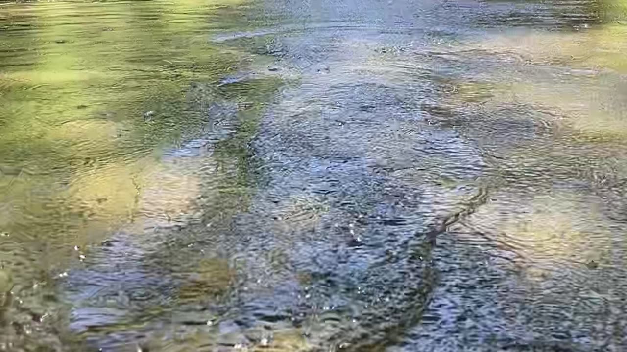 The Sound of a Good Rock Skip
