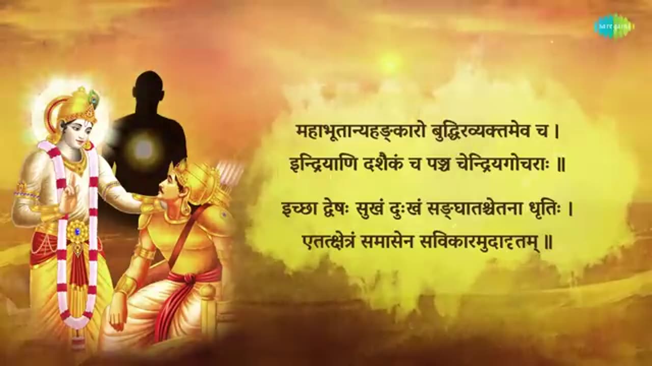श्रीमद भगवद गीता सार _ संपूर्ण गीता