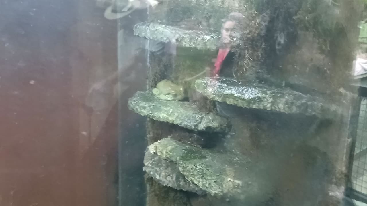 Cheyenne Mountain Zoo Part 26