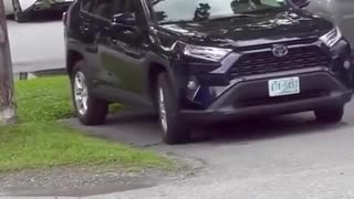 😂🏞️ They Don't Want to Leave the Park! Hilarious Failure! | FunFM