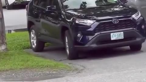 😂🏞️ They Don't Want to Leave the Park! Hilarious Failure! | FunFM