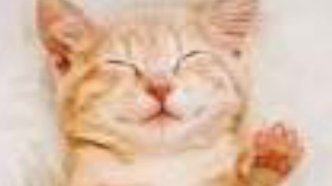Music stream