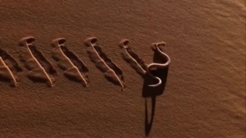 Mysterious Footprints, or Snake in the Sand.