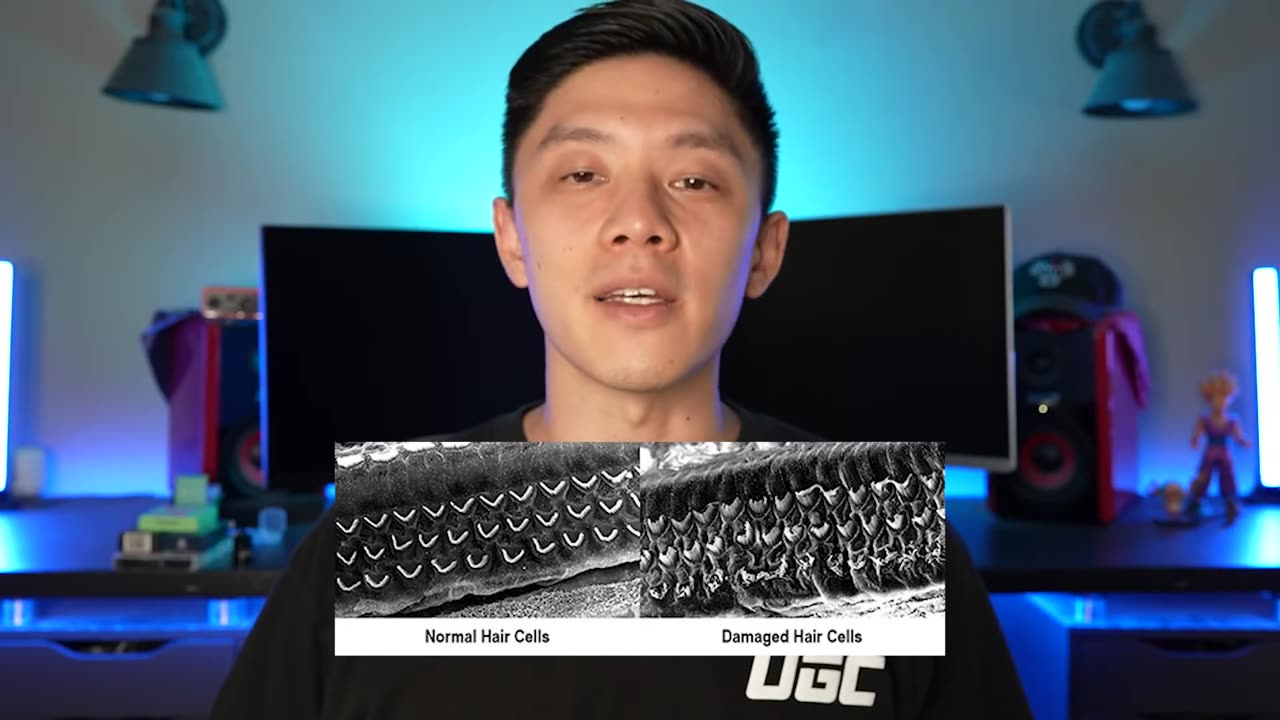 The Best Earplugs For Music Festivals