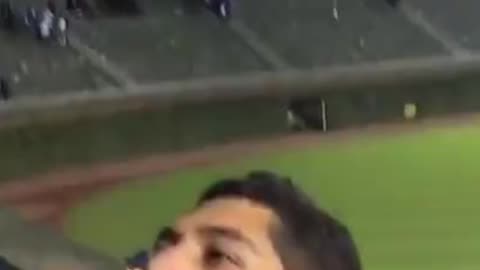 New Video Shows Drunk, Men Attacking Fans At A Chicago Cubs Game Then, All Hell Broke Loose