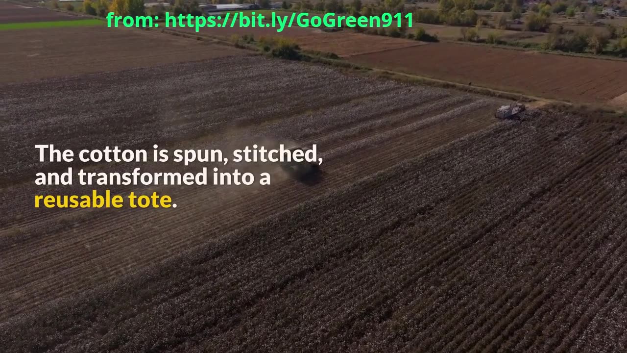 From Farm to Table: The Shocking Role of Organic Cotton Totes