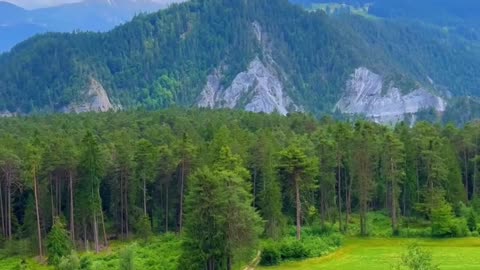 Welcome to beauty of nature - 00008