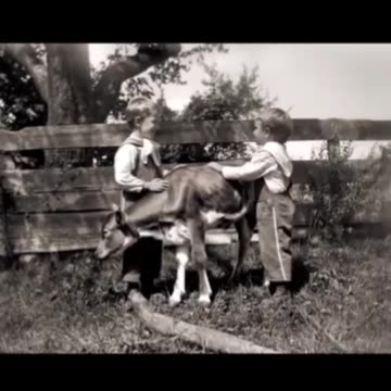 “People are so used to economic lies that they've been led to believe …”