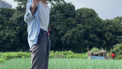 Village version of MC