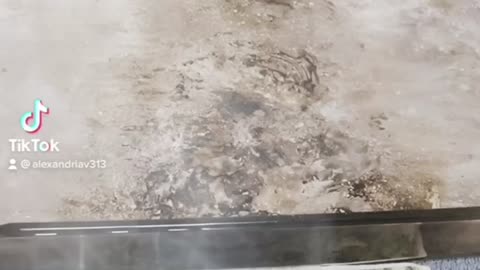 Tim Rifat TikTok Videos