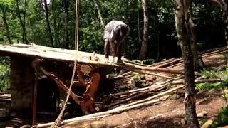 Built Himself a Free House in the Mountains Alone with no help