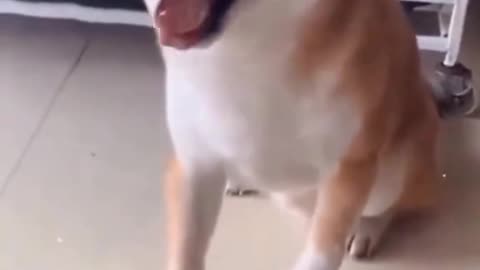 I don't think this is a funny.