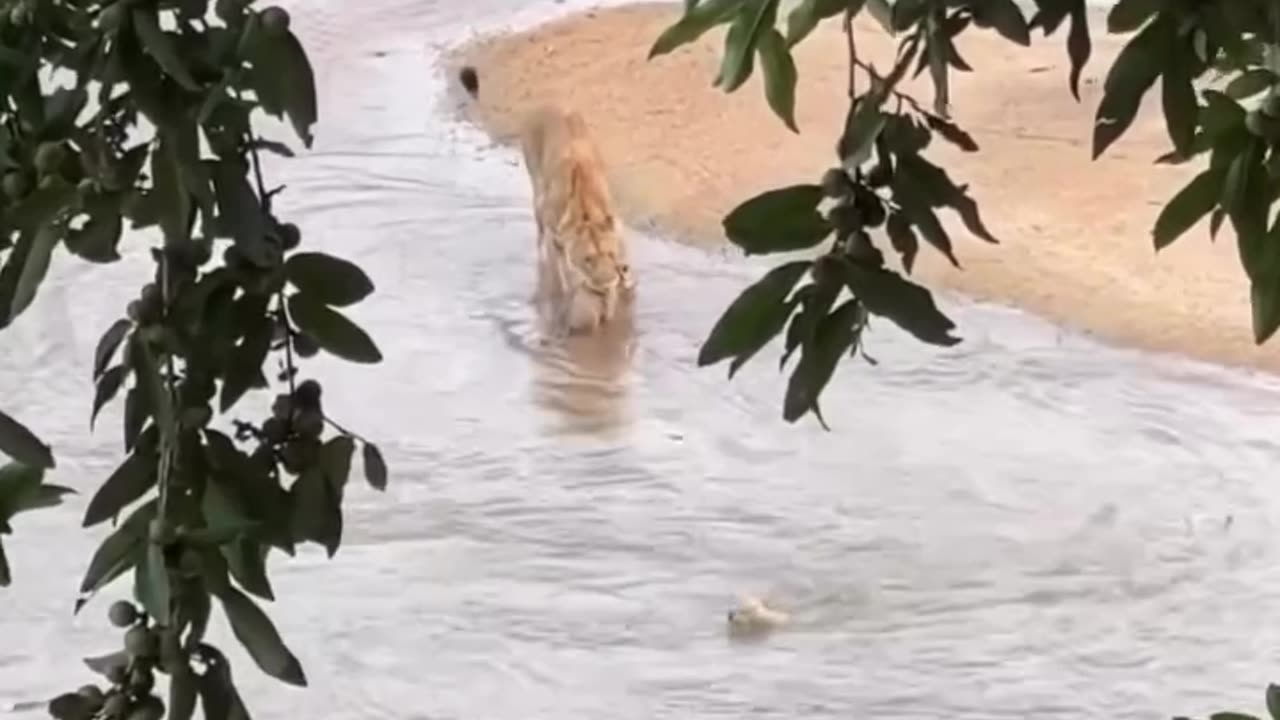 A mother’s love — wild, patient, and unwavering