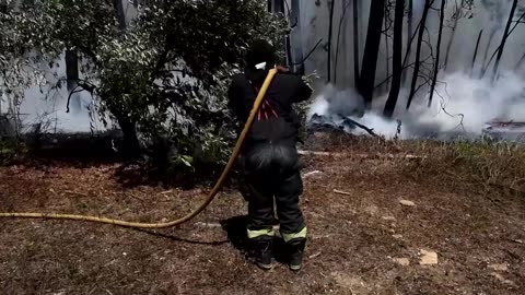 Strong winds reignite wildfires near Cape Town