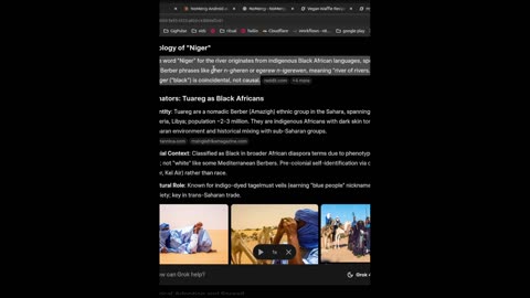 Niger? Is The Term Made Up By White People? You May Be Shocked...