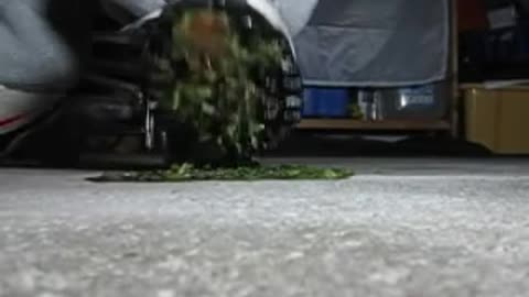 Kiwi Crushed Under Sneakers - Male Content