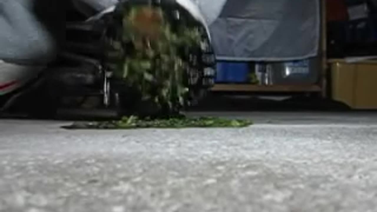 Kiwi Crushed Under Sneakers - Male Content