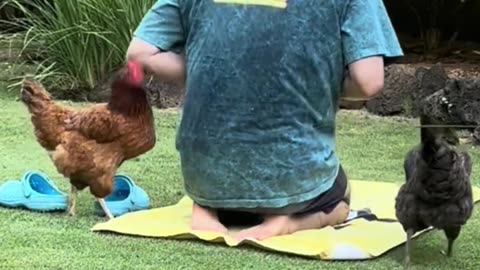 Yoga With Chickens | They Won’t Stop Copying Their Owner