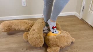 Crushing a Teddy Bear 🧸 with Socks 🧦 (shhh don't speak) ASMR
